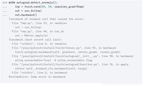 Torch Set_Detect_Anomaly