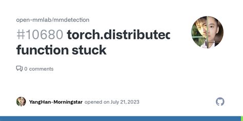 Torch.distributed.all_Gather Stuck