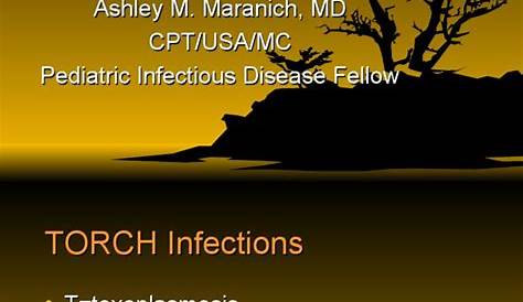 Torch Infection Ppt