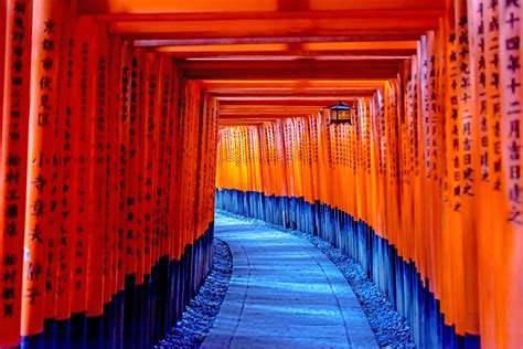 torii gates Fushimi Inari