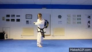 tornado kick taekwondo gif