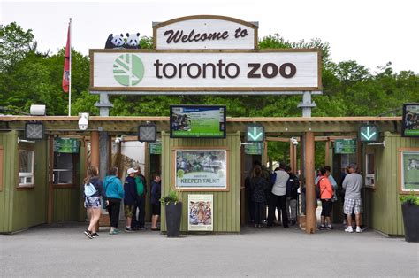 toronto zoo run