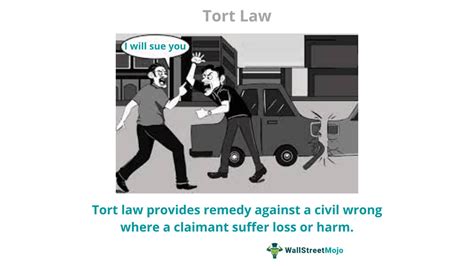 tort law for dummies