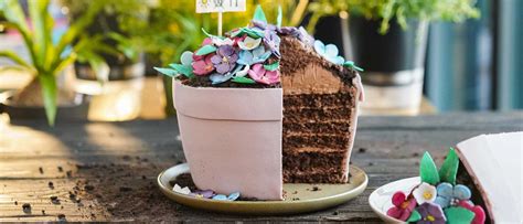 Flower pot cake Cake by Janka Kuchen und torten