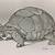 tortoise print