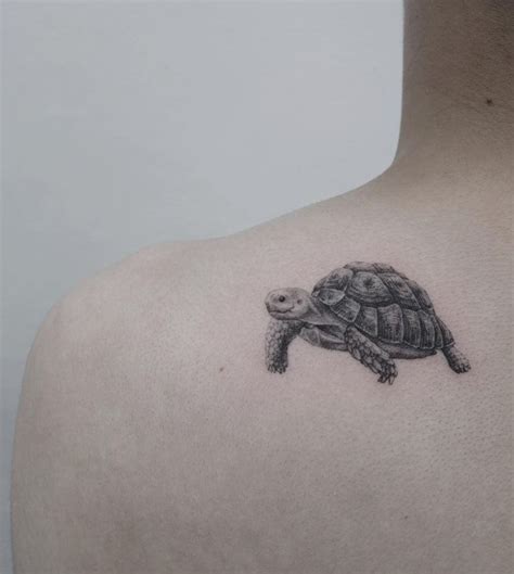 Innovative Tortoise Tattoo Designs References