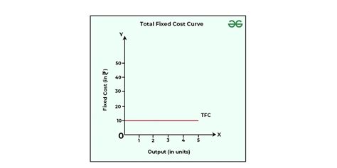 Total Fixed Cost With Examples