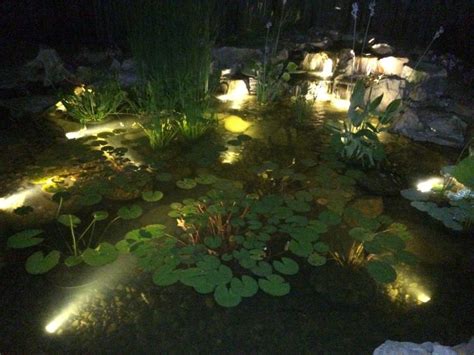 Total Pond Led Lights