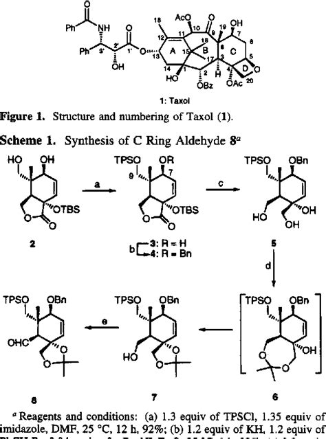 total synthesis of taxol