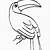 toucan coloring page