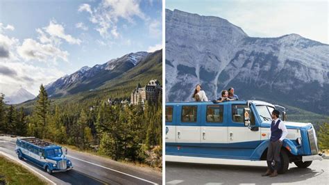 tour bus banff