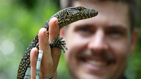 tour operator in rainforest