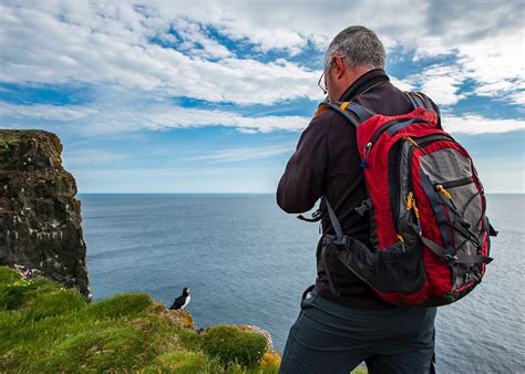 tour operator puffin watching