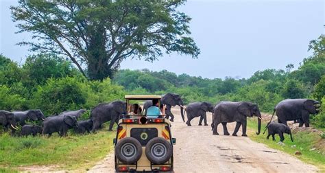 tour packages in uganda