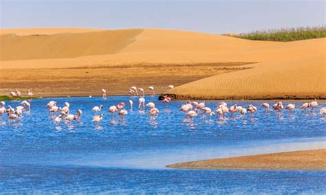 tourism industry in namibia