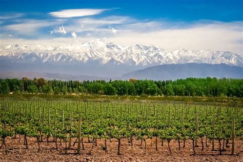 tours and sightseeing in mendoza