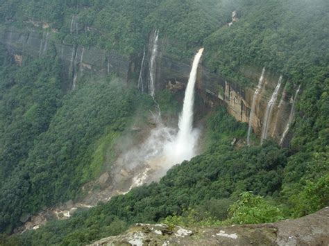 tours in india rainforest