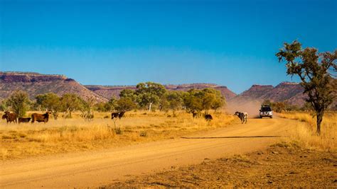 tours out of broome