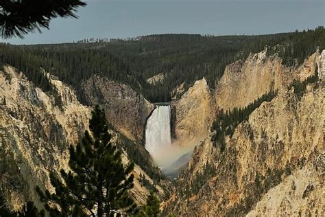 tours out of west yellowstone