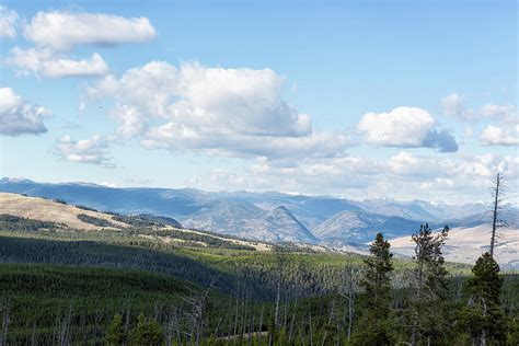 Tower Road Yellowstone