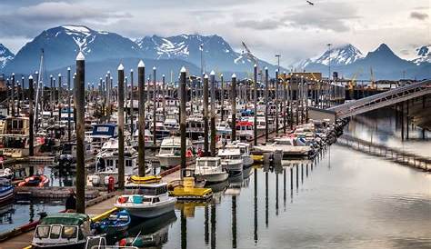 When visiting in Homer, Alaska... Take a drive out to the spit... You