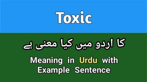toxic relationship meaning in urdu with example