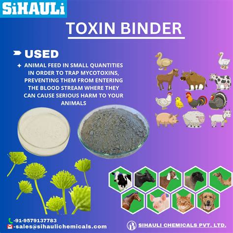 Toxin Binders