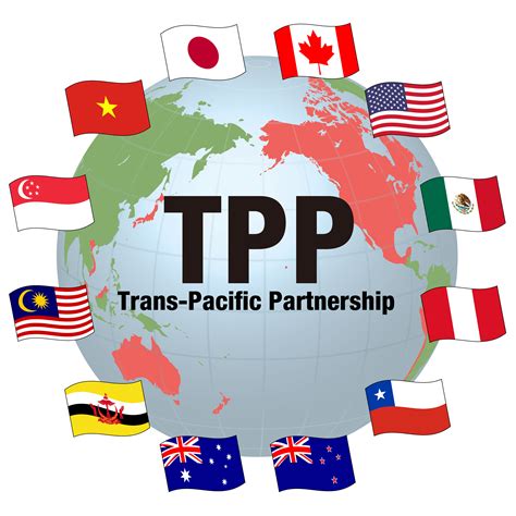 tpp meaning in banking