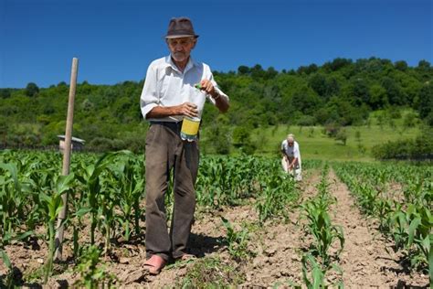 trabalhador rural antes de 1991