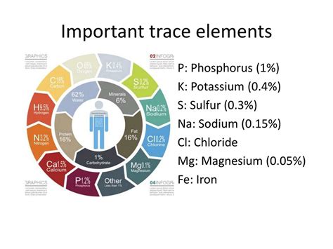 Trace Elements Definition Chemistry