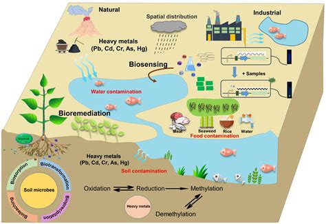 Trace Elements In Water