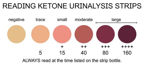 Trace Urine Ketones