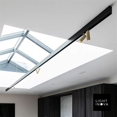 Track Lighting In Skylight