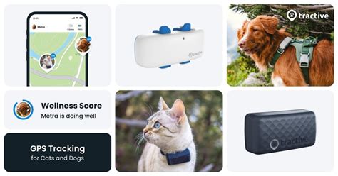 tractive gps discount code