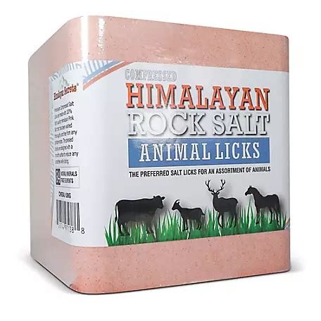 tractor supply salt lick