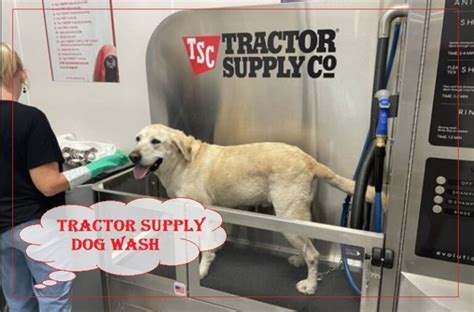 tractor supply store pet products