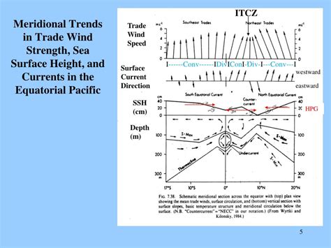 Trade Winds Height