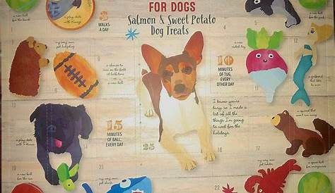 Trader Joe’s Dog Advent Calendar Hits Store Shelves