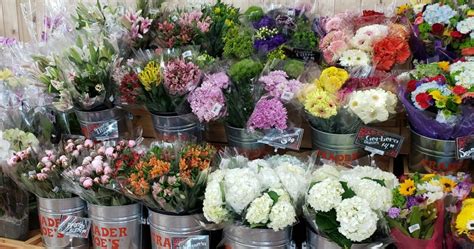 trader joe's flowers in season