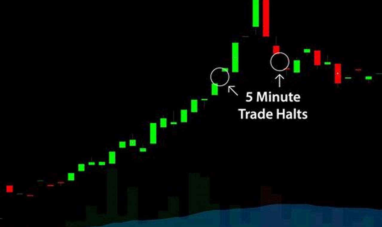 trading halt
