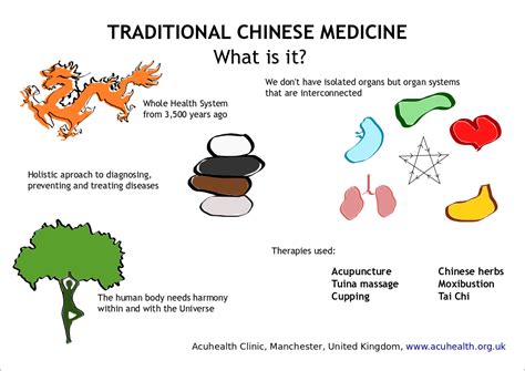traditional chinese medicine courses