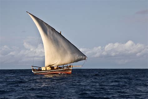 traditional dhow sailing