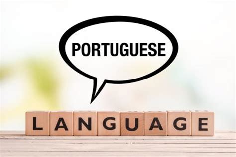 traduttore inglese portoghese brasiliano