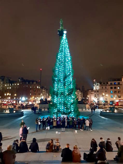trafalgar square christmas tree bbc
