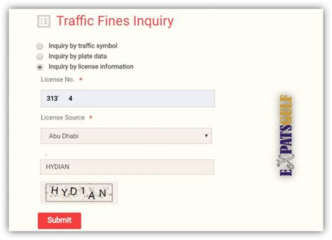 traffic fines inquiry by licence