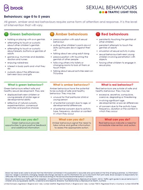 Traffic Light System Brook