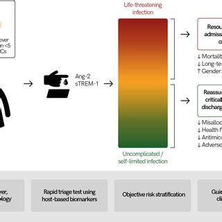 Traffic Light Test Relationship