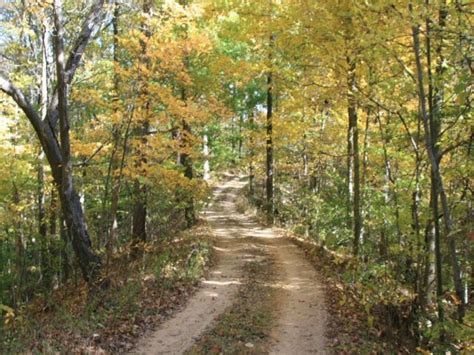 The Trail Of Tears State Forest: A Hidden Gem In The Heart Of America