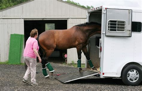trailer loading a difficult horse