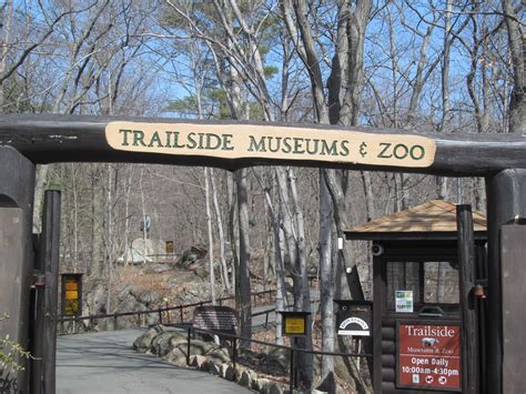 trailside museum and zoo bear mountain